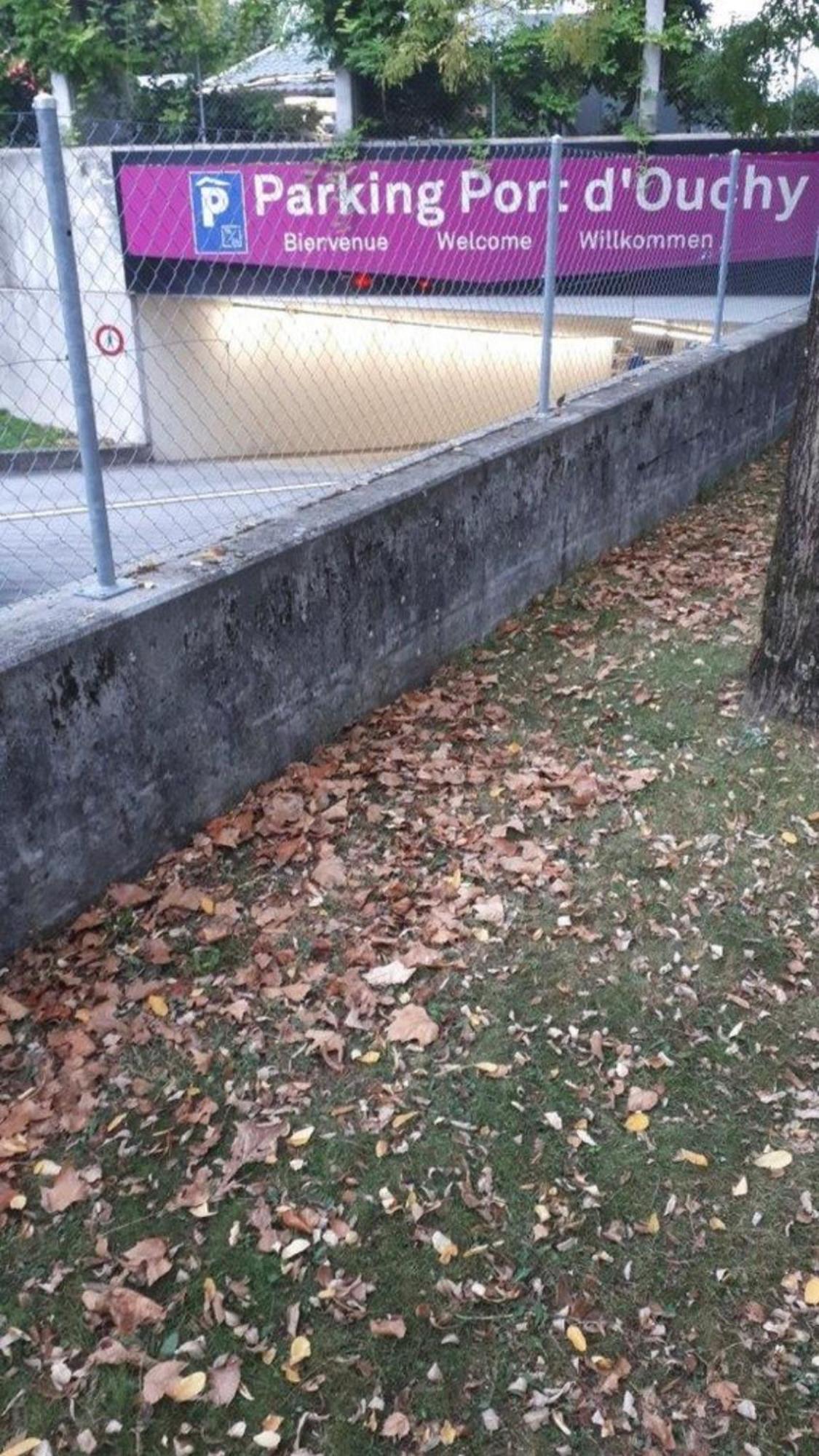 Le Chalet D'Ouchy Lausanne Kültér fotó